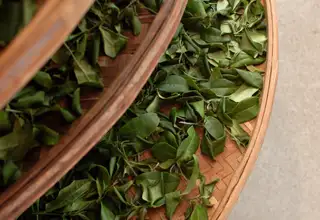 OEM Tea Packaging: From Concept to Shelf