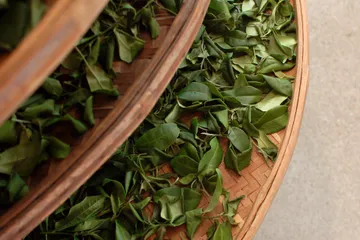 OEM Tea Packaging: From Concept to Shelf